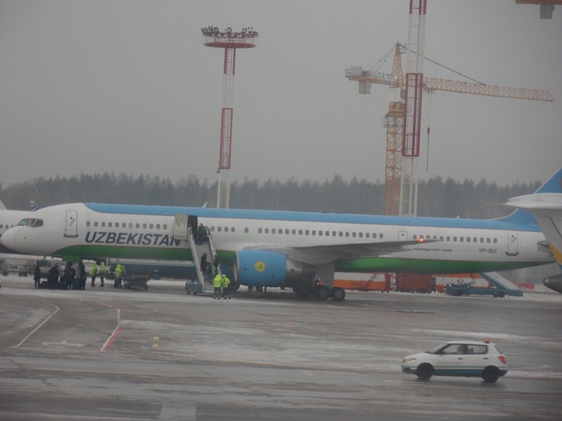 DME Uzbekistan Airlines