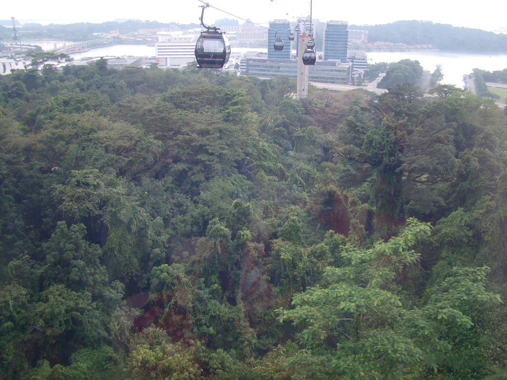 High Up in the Singapore Cable Car