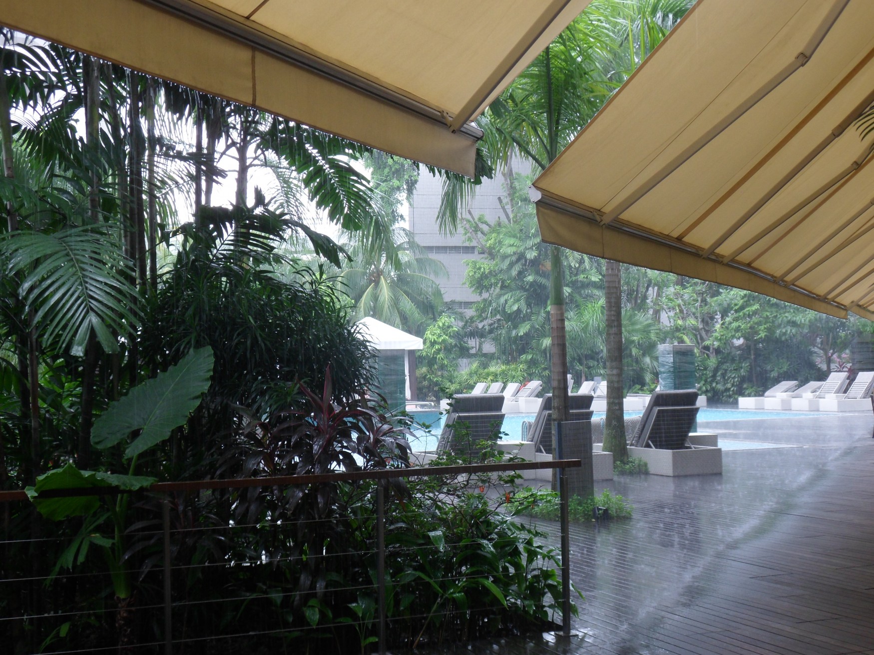 rained out at the grand hyatt singapore pool