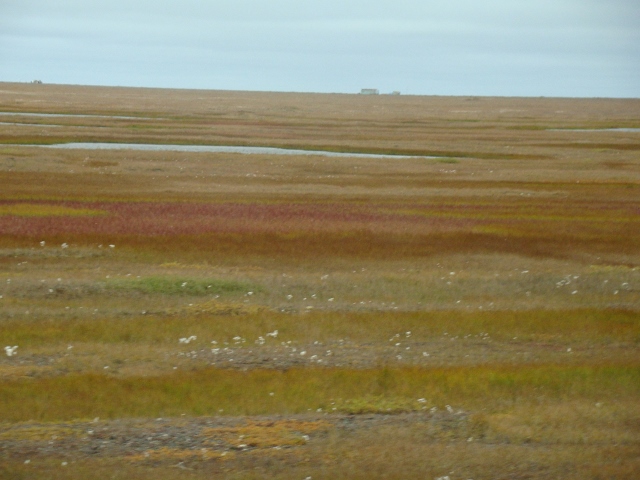 Top of the world tour barrow alaska tundra scenery